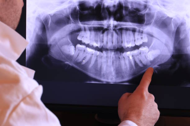 Best Emergency X-Rays and Diagnostics in Enumclaw, WA